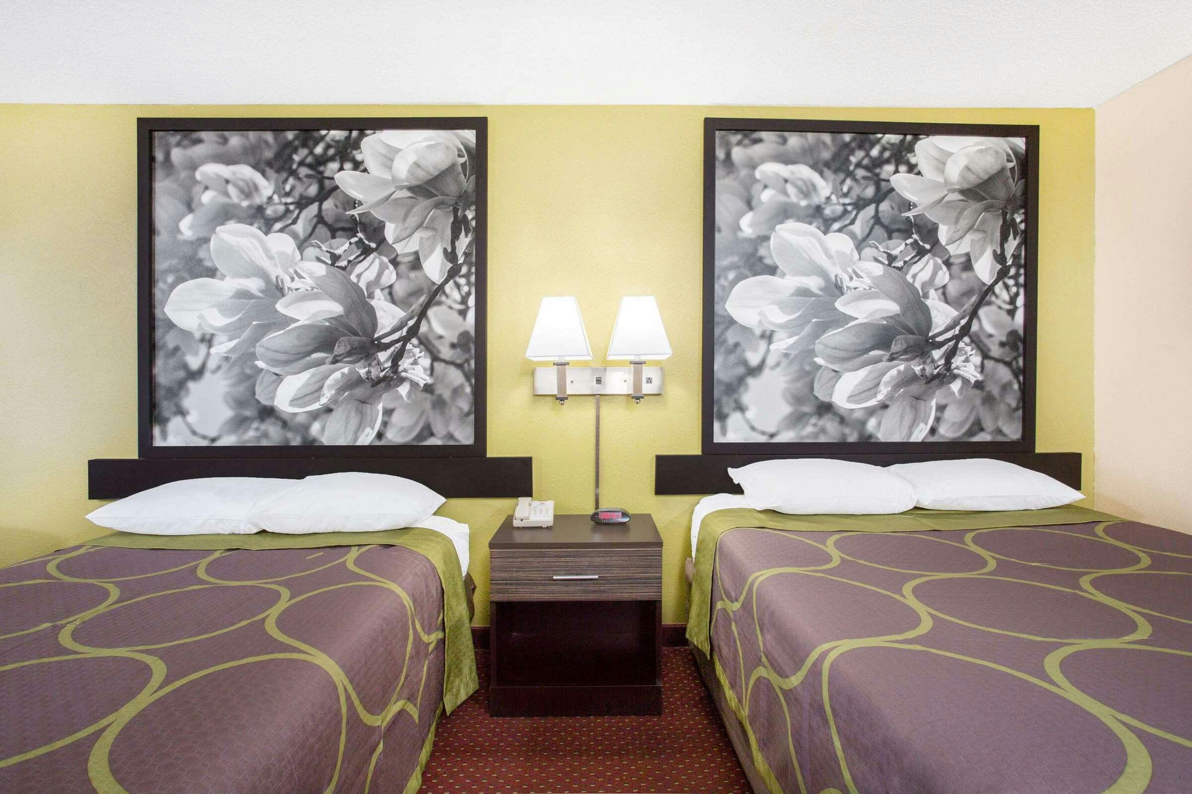 Hotel Super 8 by Wyndham Sumter photo 2