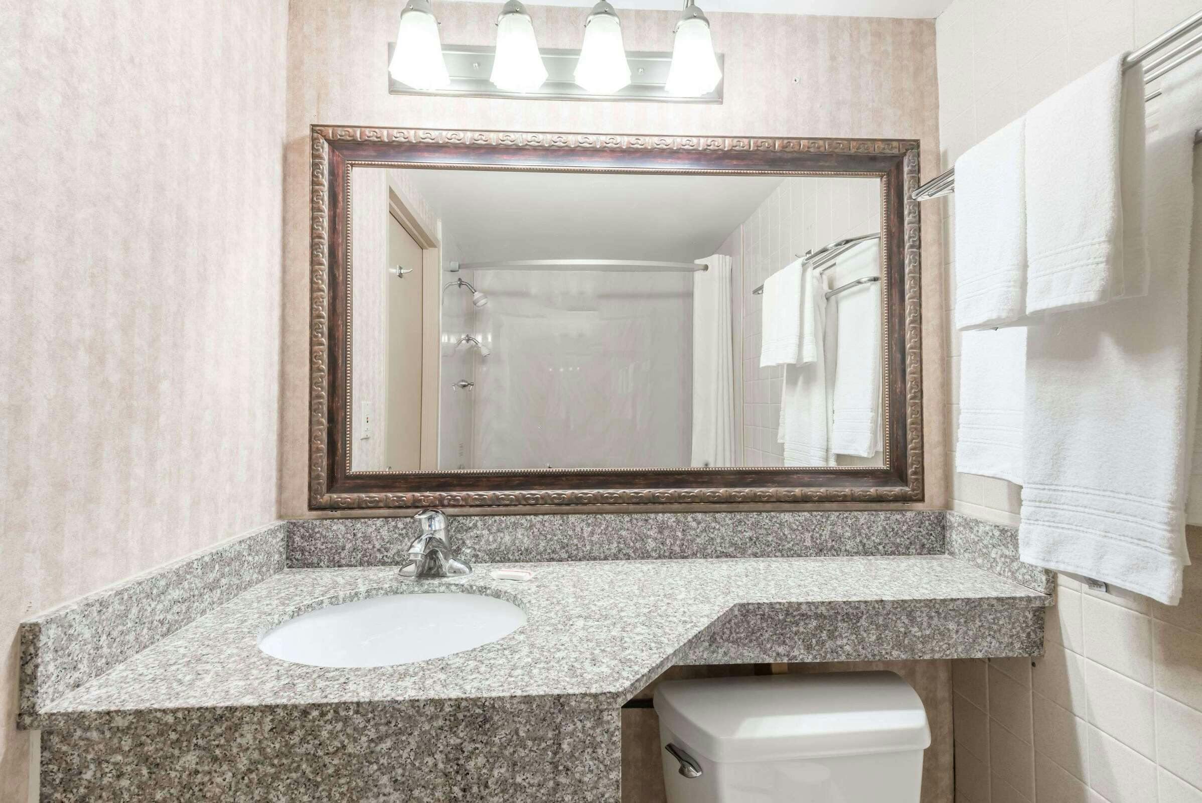 Hotel Days Inn Niles photo 4