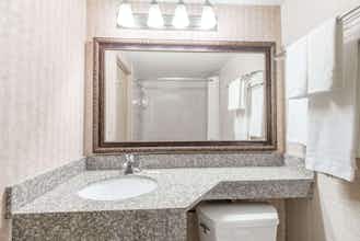 Hotel Days Inn Niles photo 4