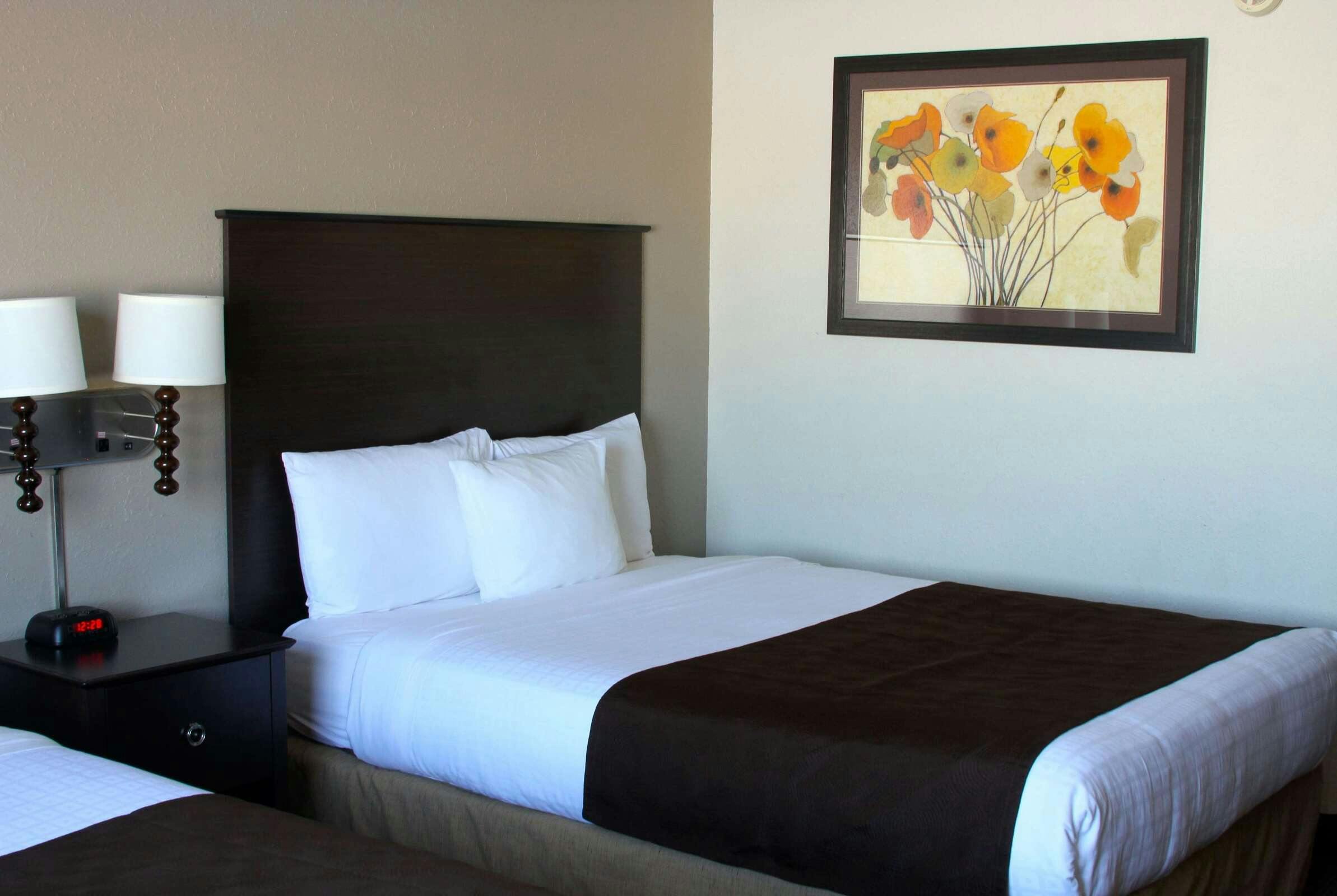 Hotel AmericInn by Wyndham Wadena photo 5