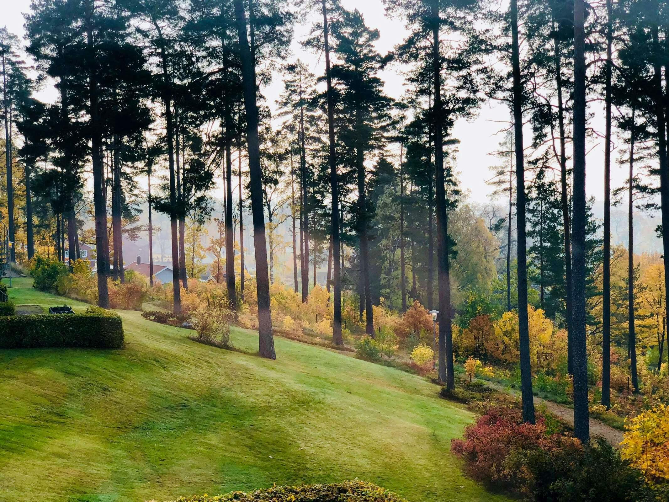 Hotel Hotel Malmkoping, Sure Hotel Collection By Best Western photo 2