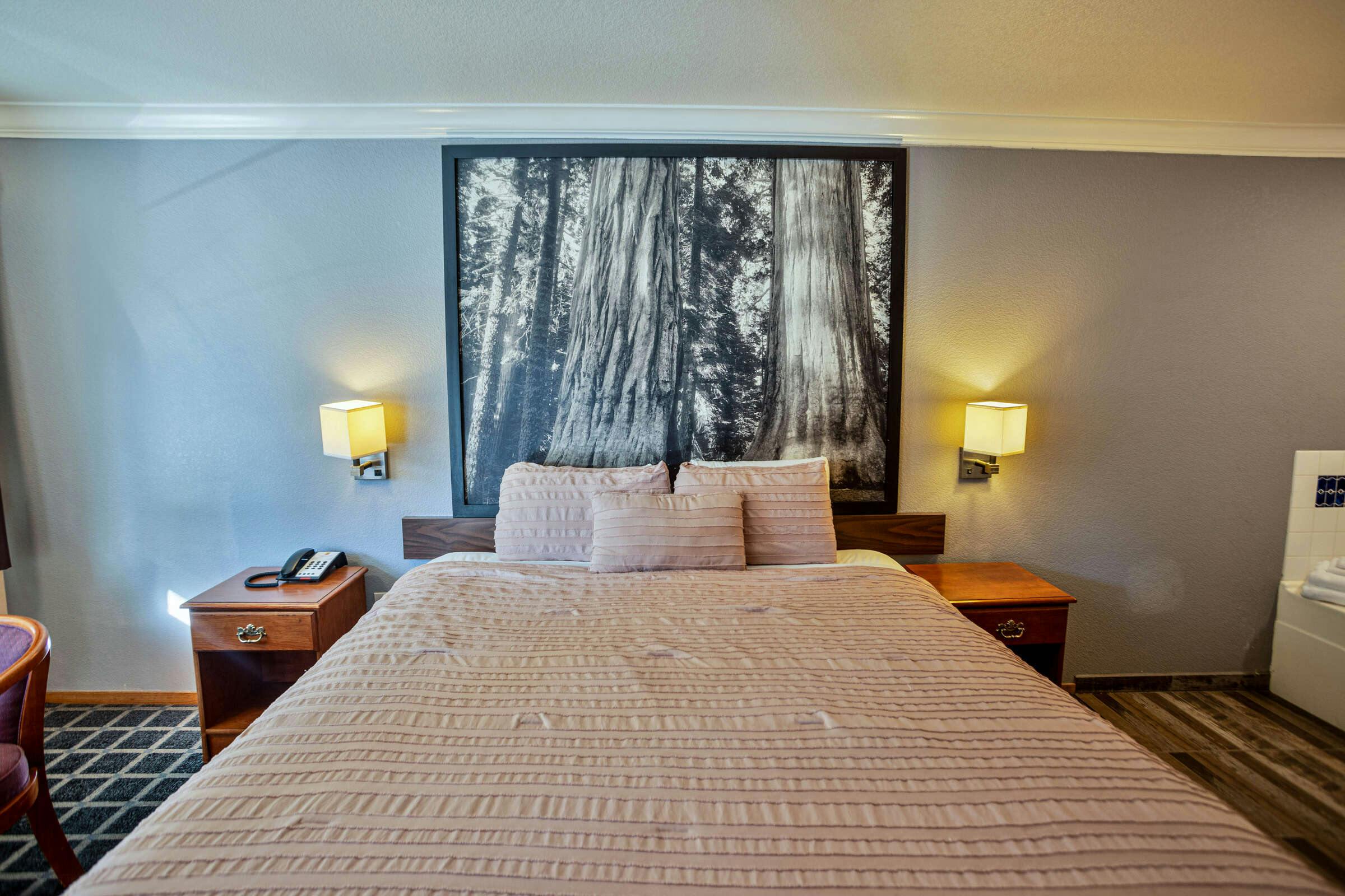 Hotel Creekside Inn & Suites photo 3