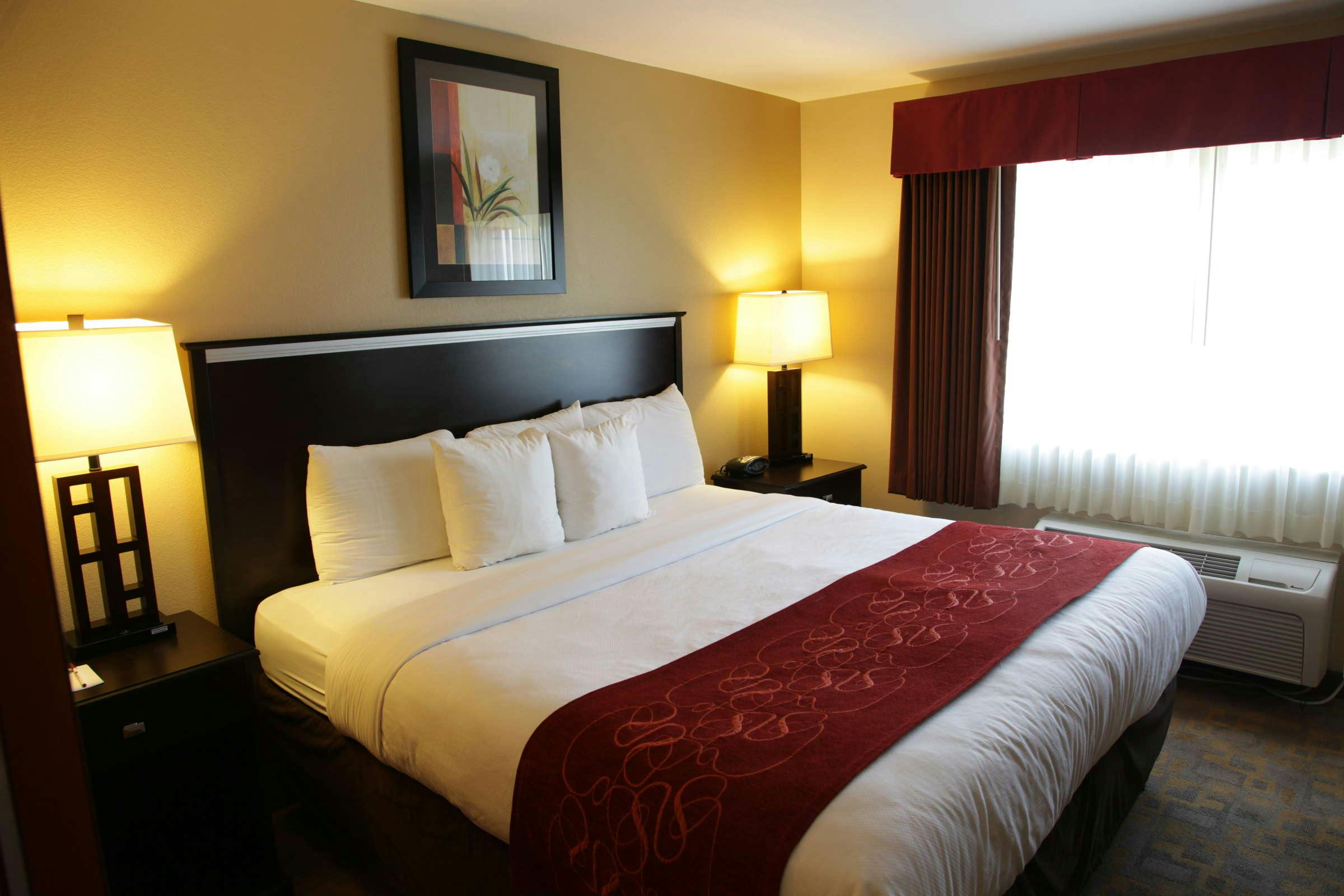Hotel Comfort Suites Denver Tech Center photo 3
