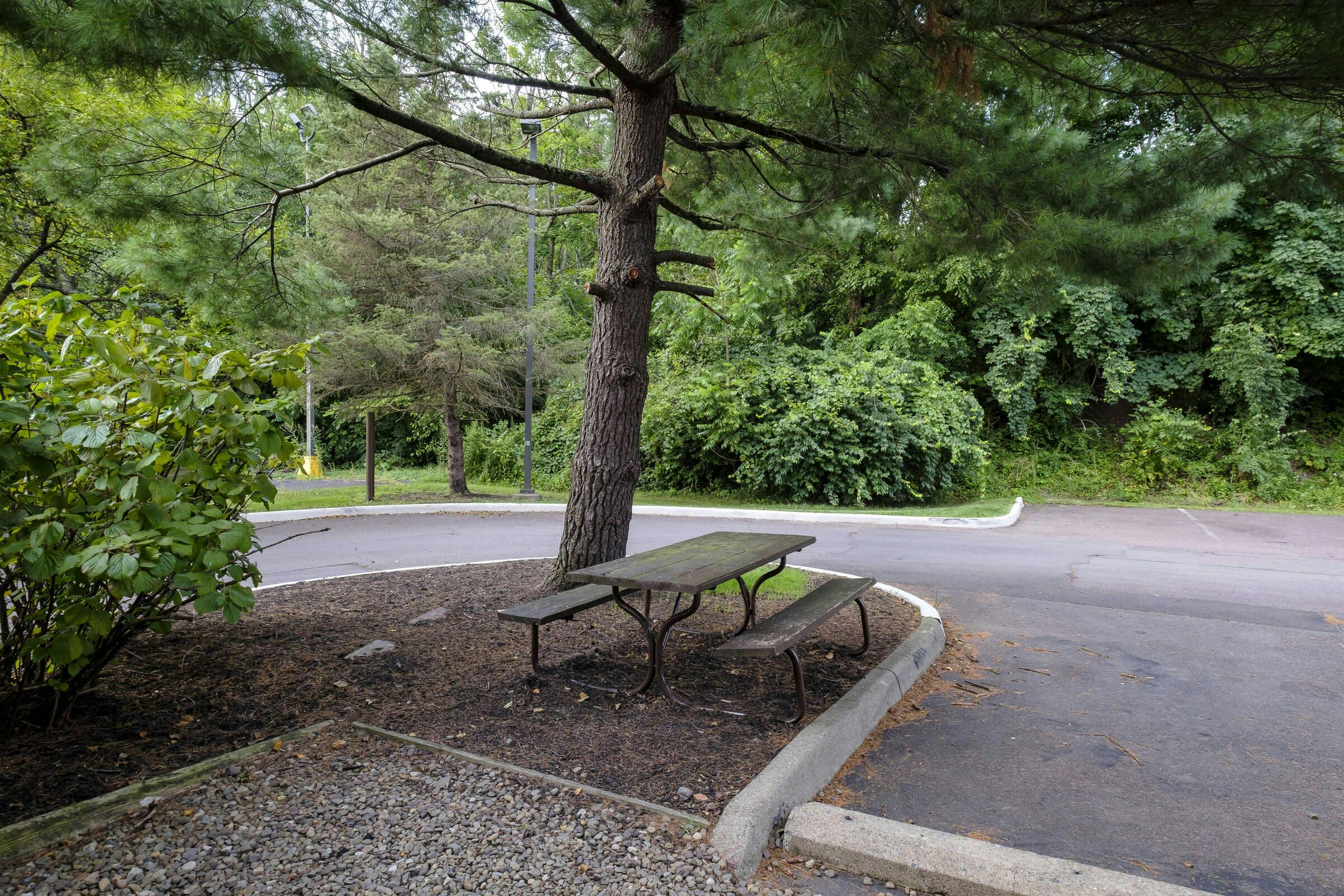 Hotel HomeTowne Studios Danville, PA photo 2