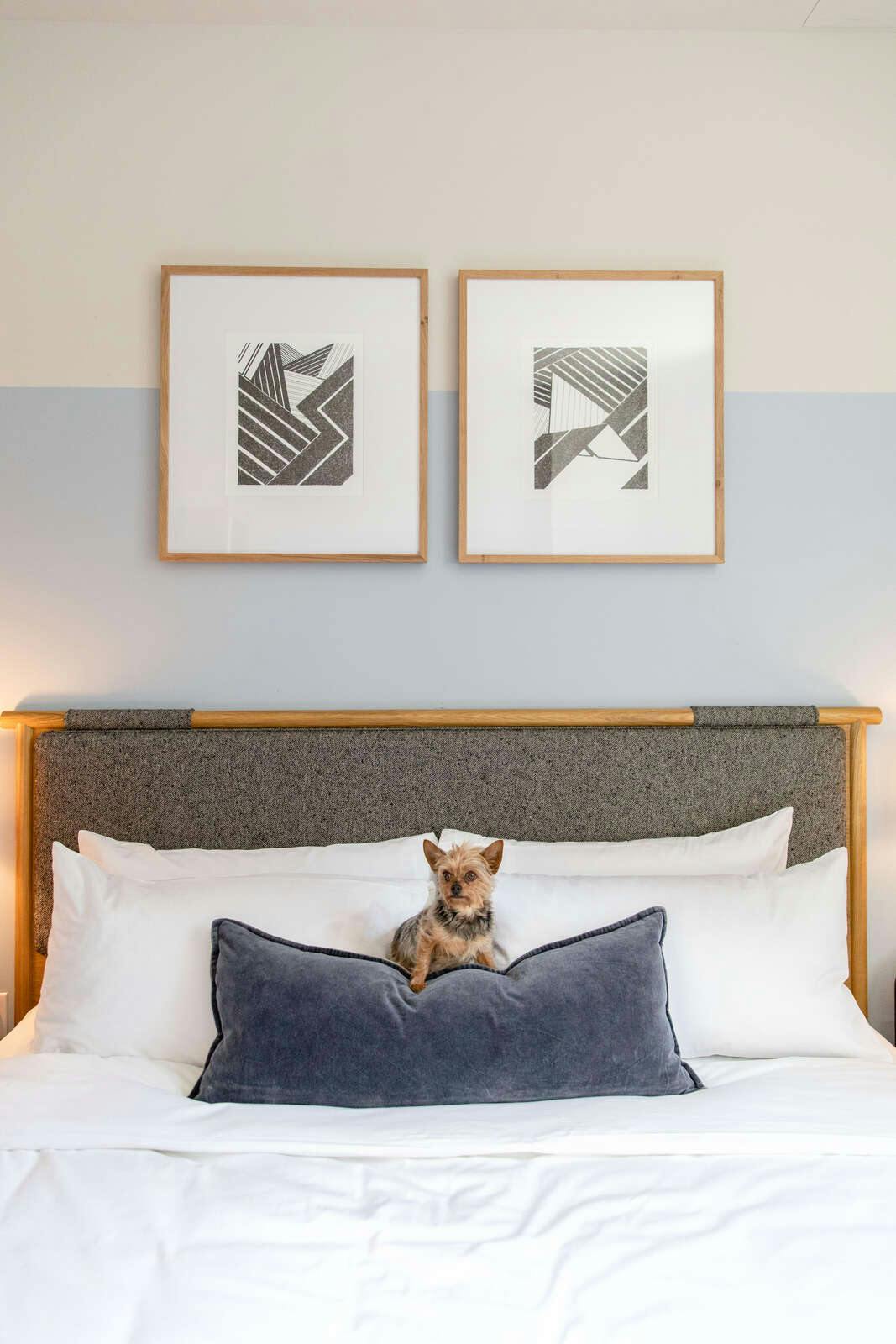 Hotel Clayton Hotel & Members Club photo 1