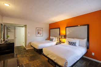 Hotel Hotel Royal Oak photo 3