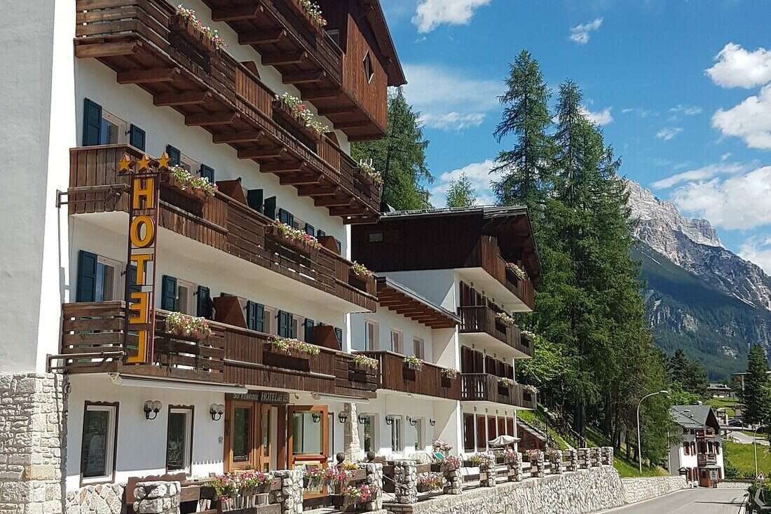 Hotel Hotel Des Alpes photo 1