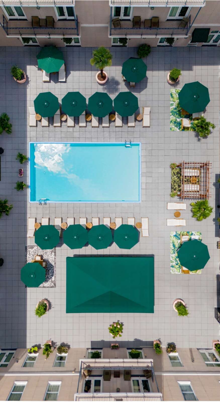 Hotel Hyatt Centric French Quarter photo 1