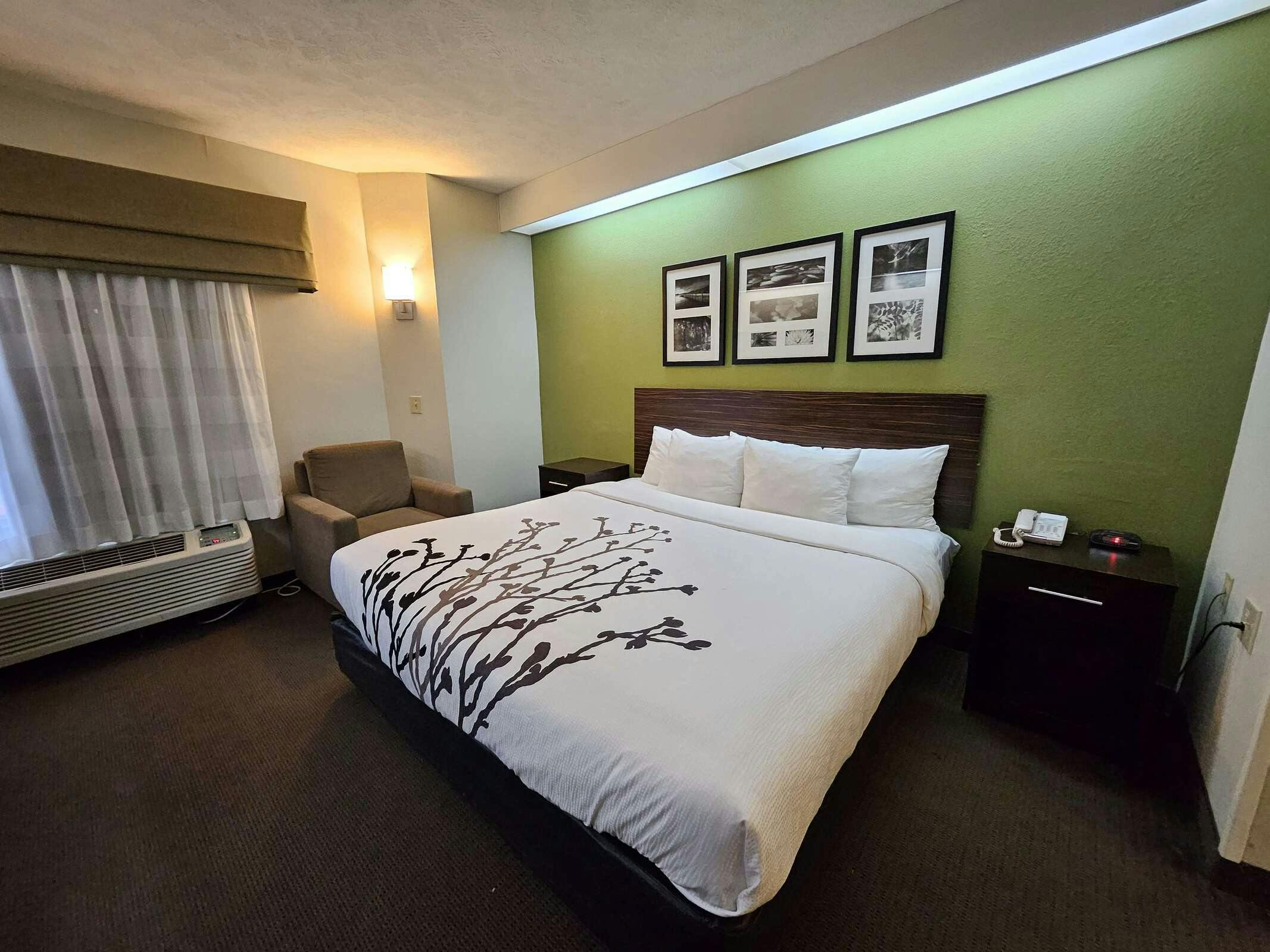 Hotel Sure Stay By Best Western Summerville Flowertown photo 1