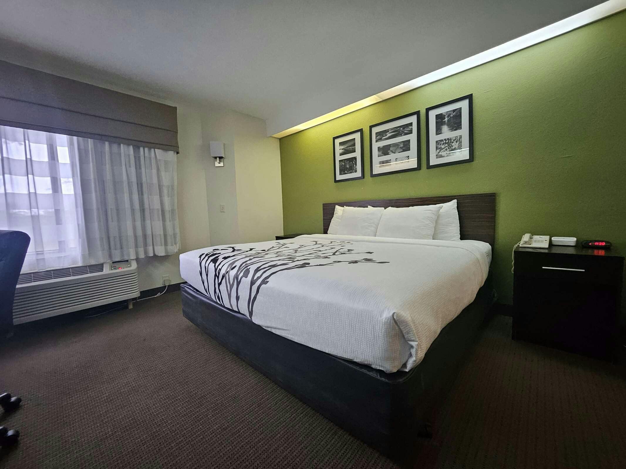 Hotel Sure Stay By Best Western Summerville Flowertown photo 5