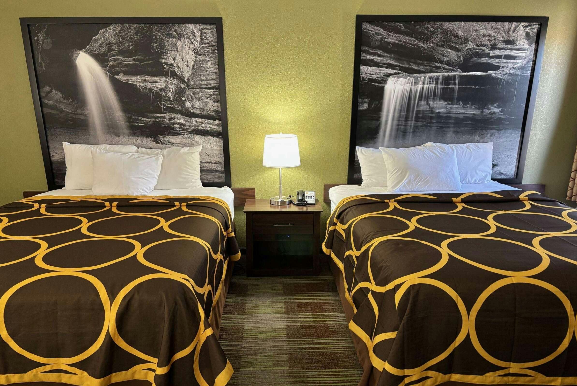 Hotel Super 8 by Wyndham Lincoln IL photo 3