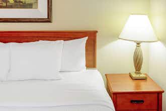 Hotel La Quinta Inn Ste Appleton photo 4