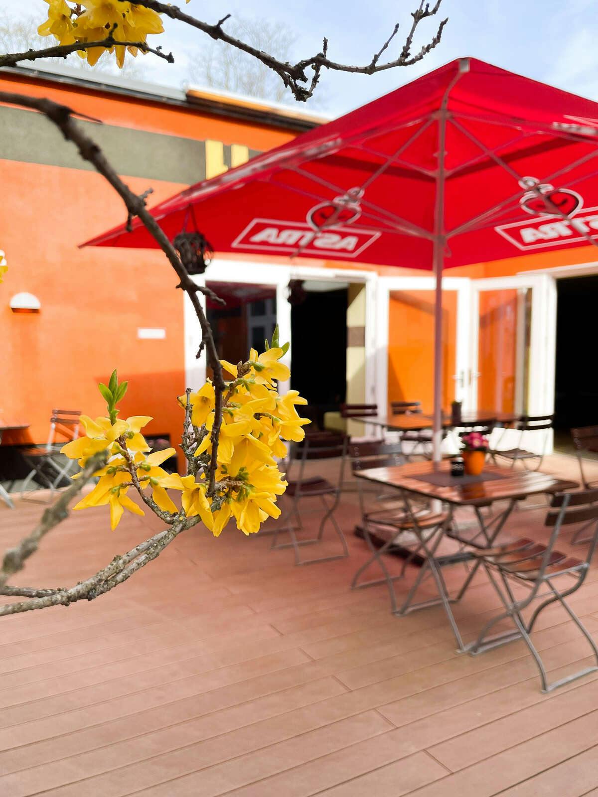 Hotel HOLI Berlin photo 3