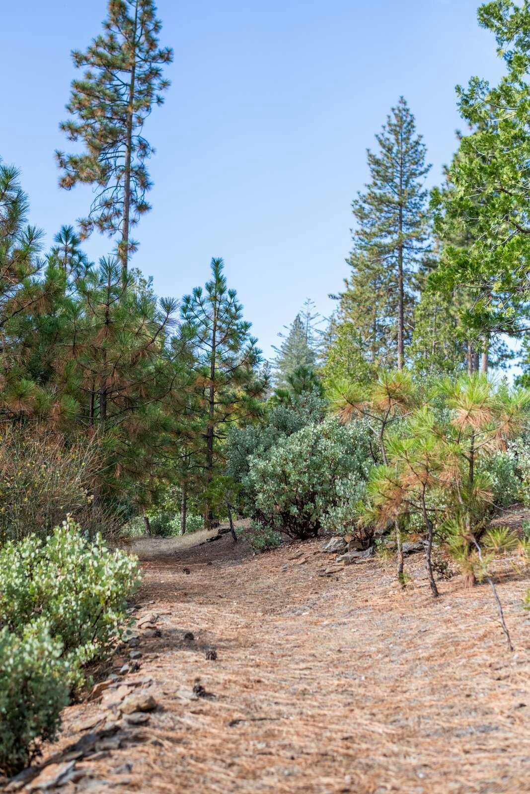 Hotel Inn at Sugar Pine Ranch photo 2