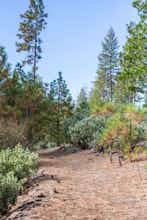 Hotel Inn at Sugar Pine Ranch photo 2