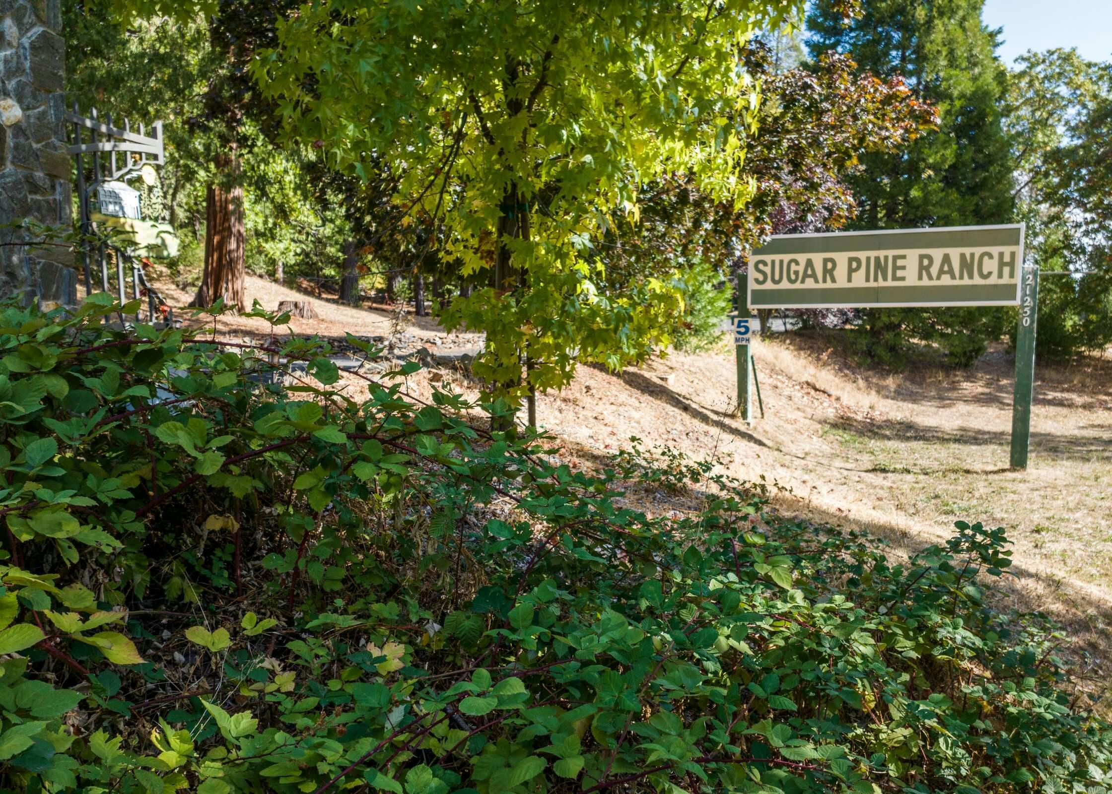 Hotel Inn at Sugar Pine Ranch photo 5