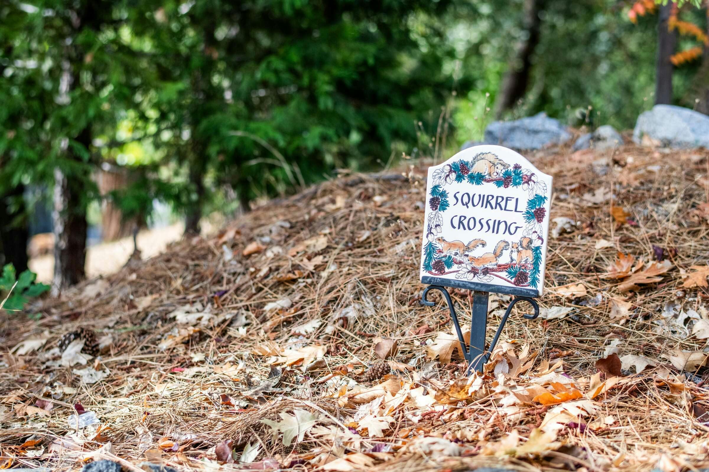 Hotel Inn at Sugar Pine Ranch photo 3