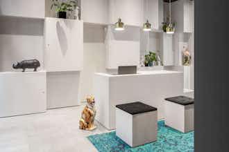 Hotel AMANO Home photo 5