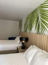 Hotel The Harrison Hotel Downtown Hollywood photo 5