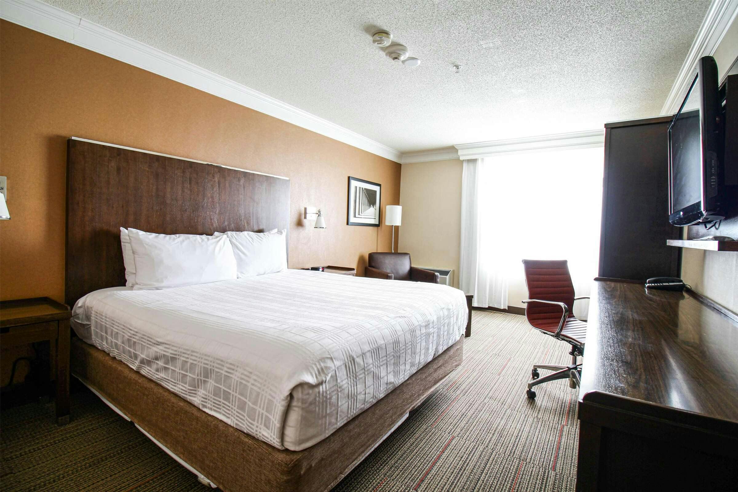 Hotel Waterloo Suites, Trademark photo 1