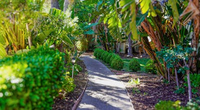 Uptown Oasis San Jose Airport