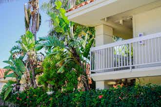 Hotel Uptown Oasis San Jose Airport photo 3