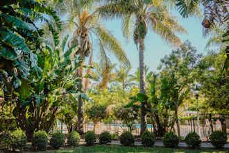 Hotel Uptown Oasis San Jose Airport photo 2