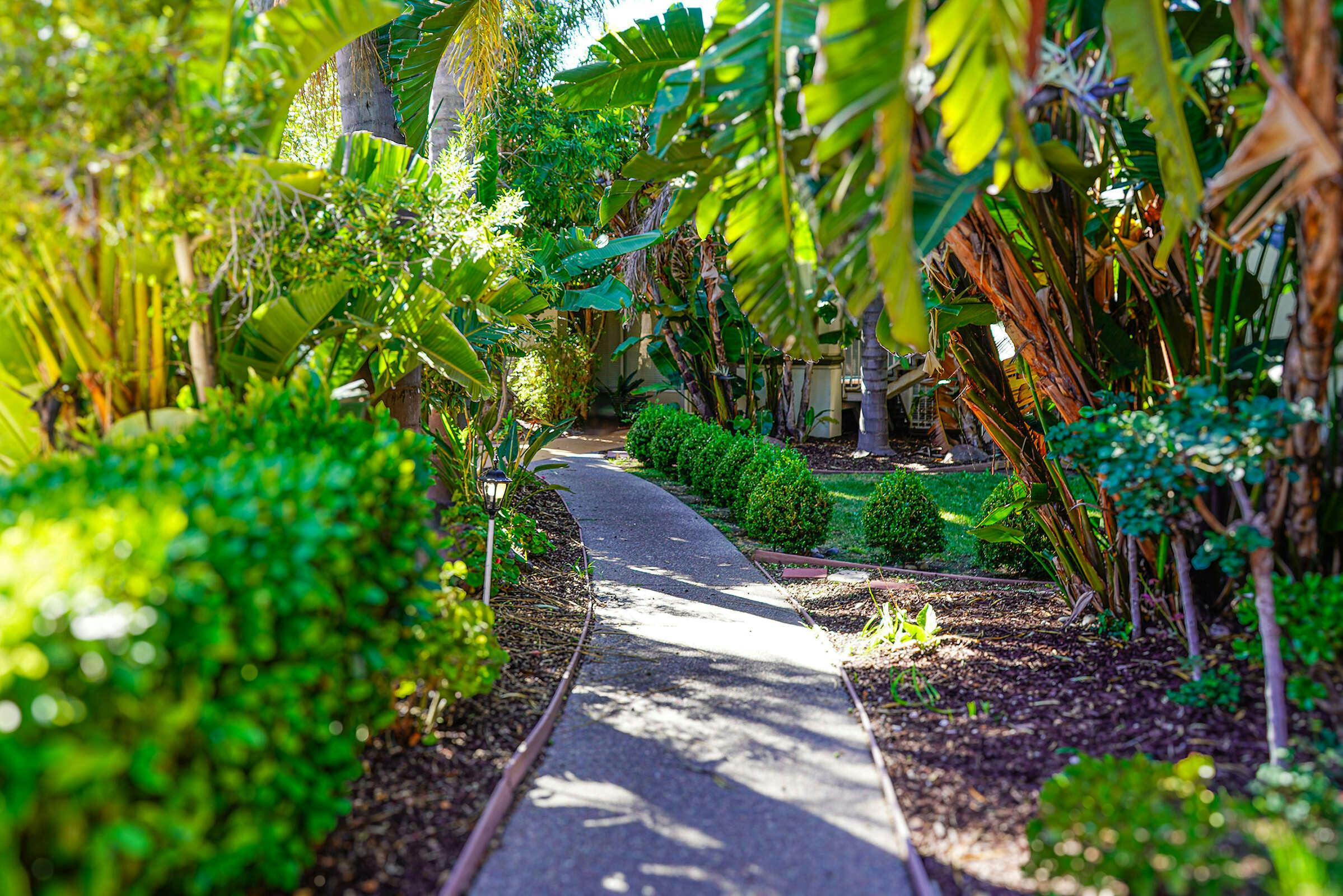 Hotel Uptown Oasis San Jose Airport photo 5