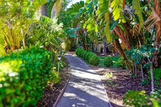 Hotel Uptown Oasis San Jose Airport photo 5