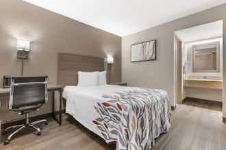 Hotel Red Roof Inn Tucson South - Airport photo 3