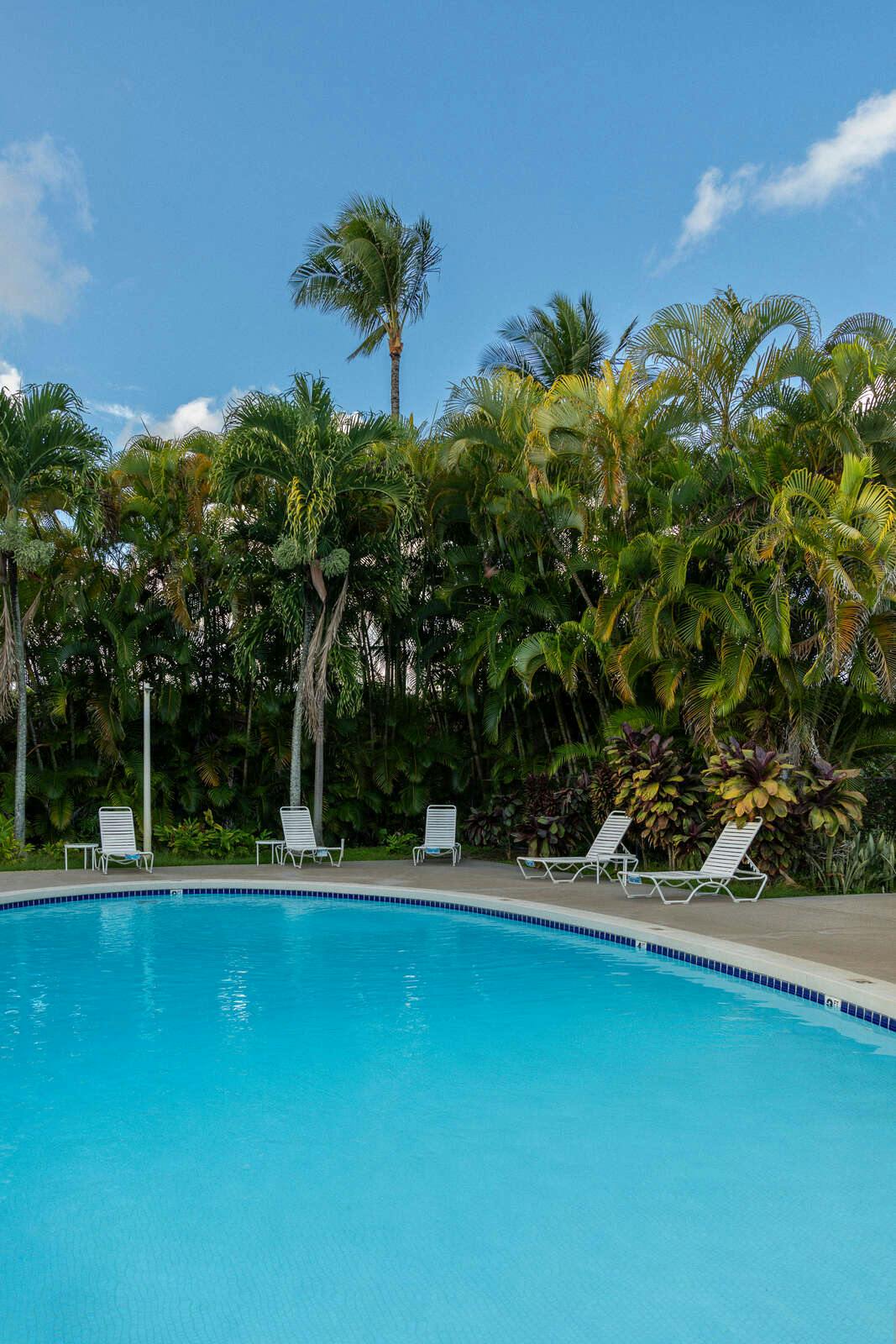 Hotel Plantation Hale Suites photo 4