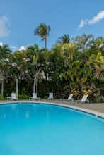 Hotel Plantation Hale Suites photo 4