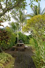 Hotel Plantation Hale Suites photo 2