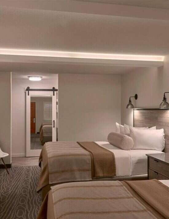 Hotel Fredericksburg Inn and Suites photo 3