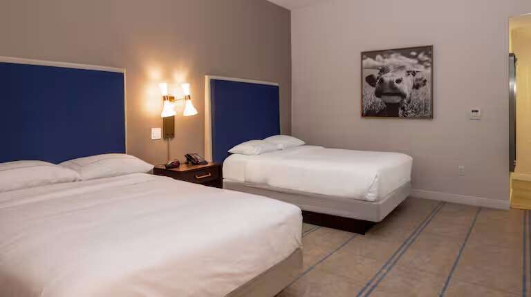 Hotel Hilton Austin Airport photo 1