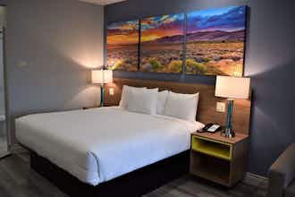Hotel DI University of Houston photo 4