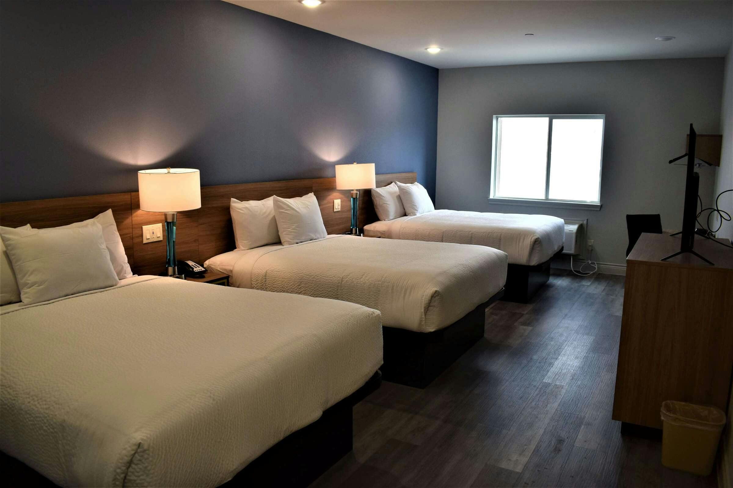 Hotel DI University of Houston photo 5