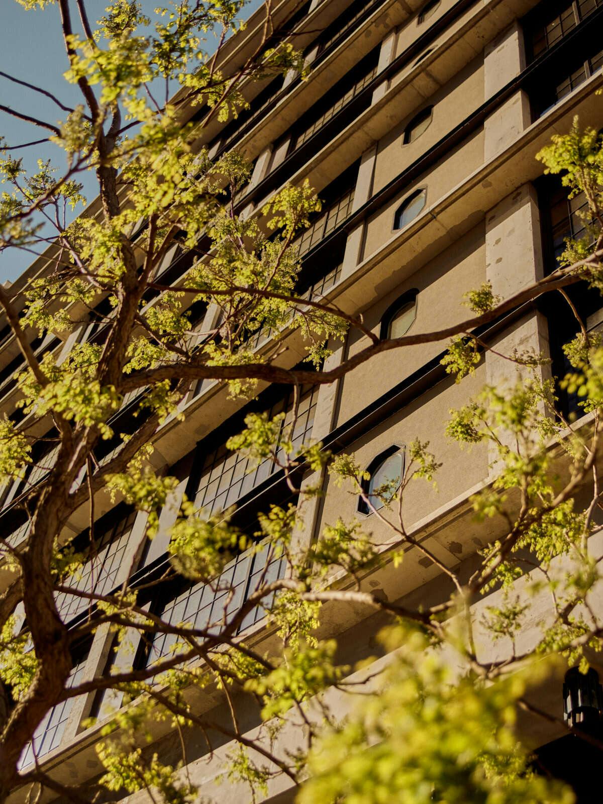 Hotel Ace Hotel Brooklyn photo 4