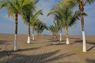 Hotel Best Western Jaco Beach All Inclusive Resort photo 4