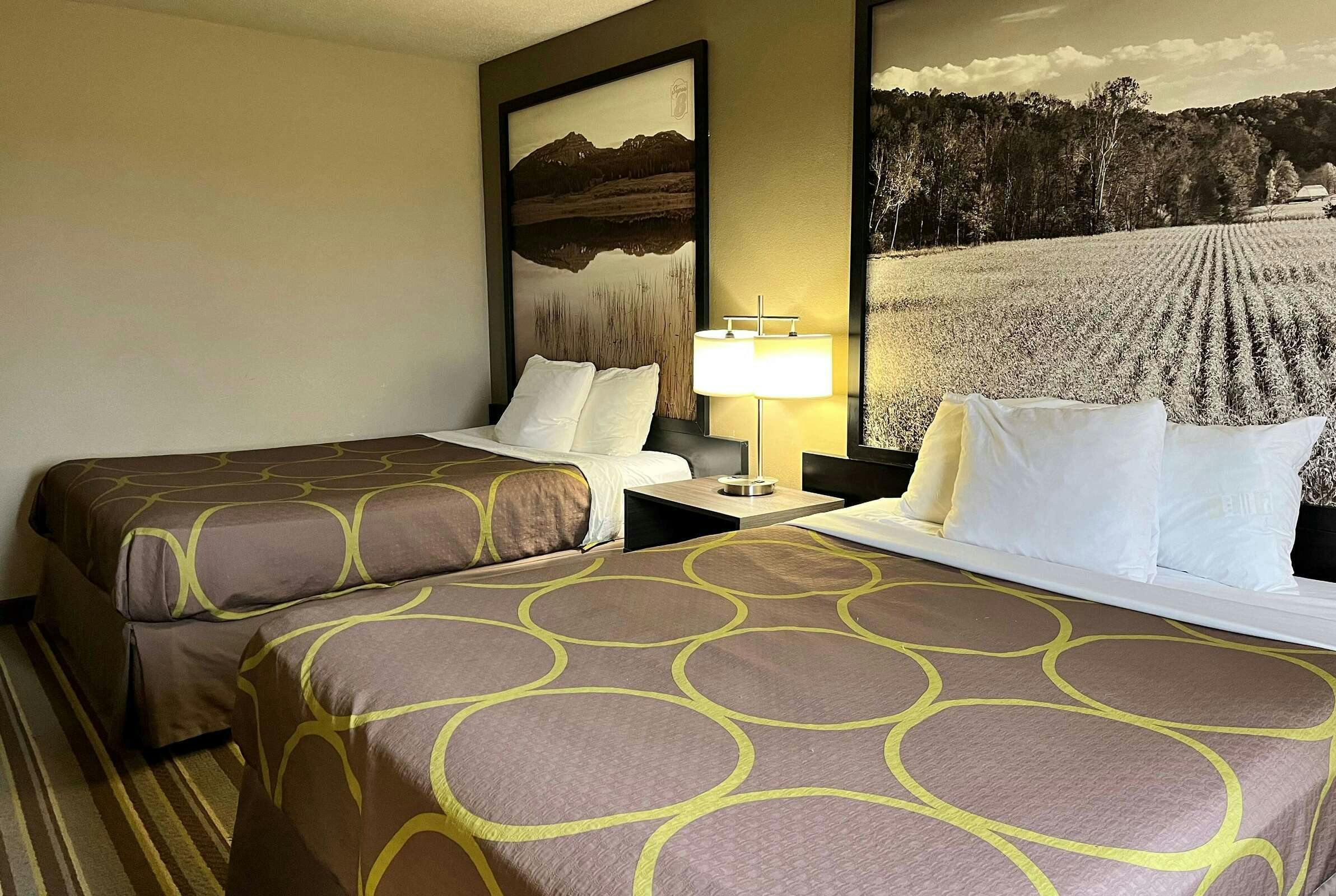 Hotel Super 8 by Wyndham Gas City Marion Area photo 2