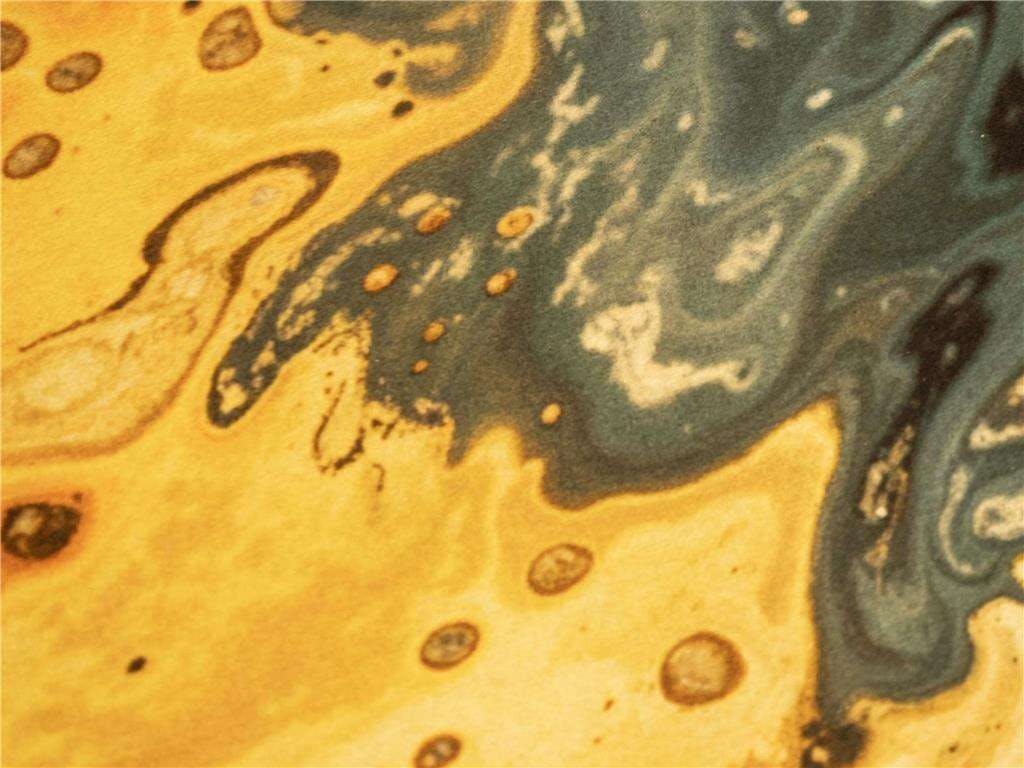 Hotel Ibis Styles Brugge Centrum photo 5