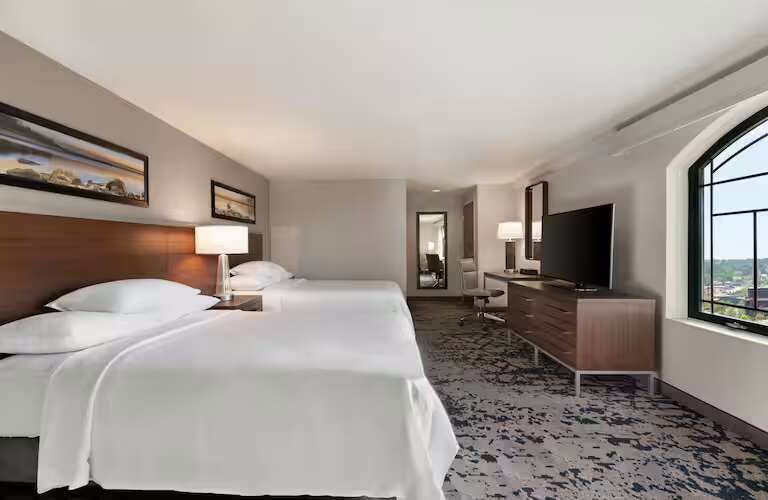 Hotel Embassy Suites by Hilton Grapevine DFW Airport North photo 4