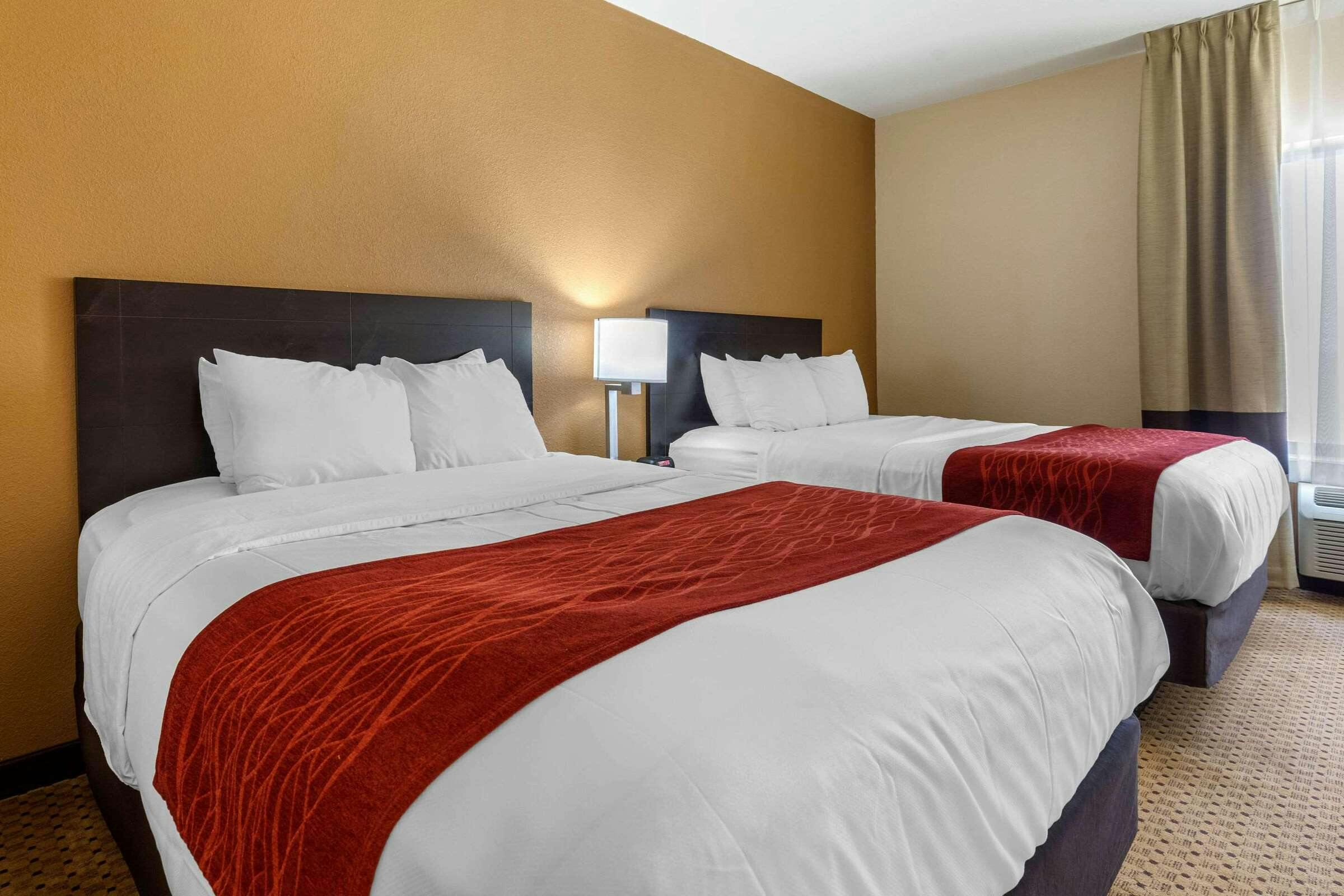 Hotel Comfort Inn & Suites Kenosha-Pleasant Prairie photo 1