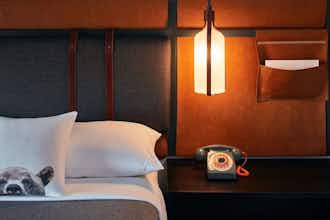 Hotel Moxy Denver Cherry Creek photo 4