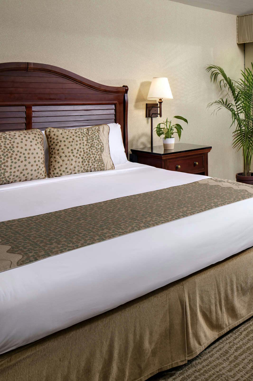 Hotel Bahia Resort Hotel photo 2