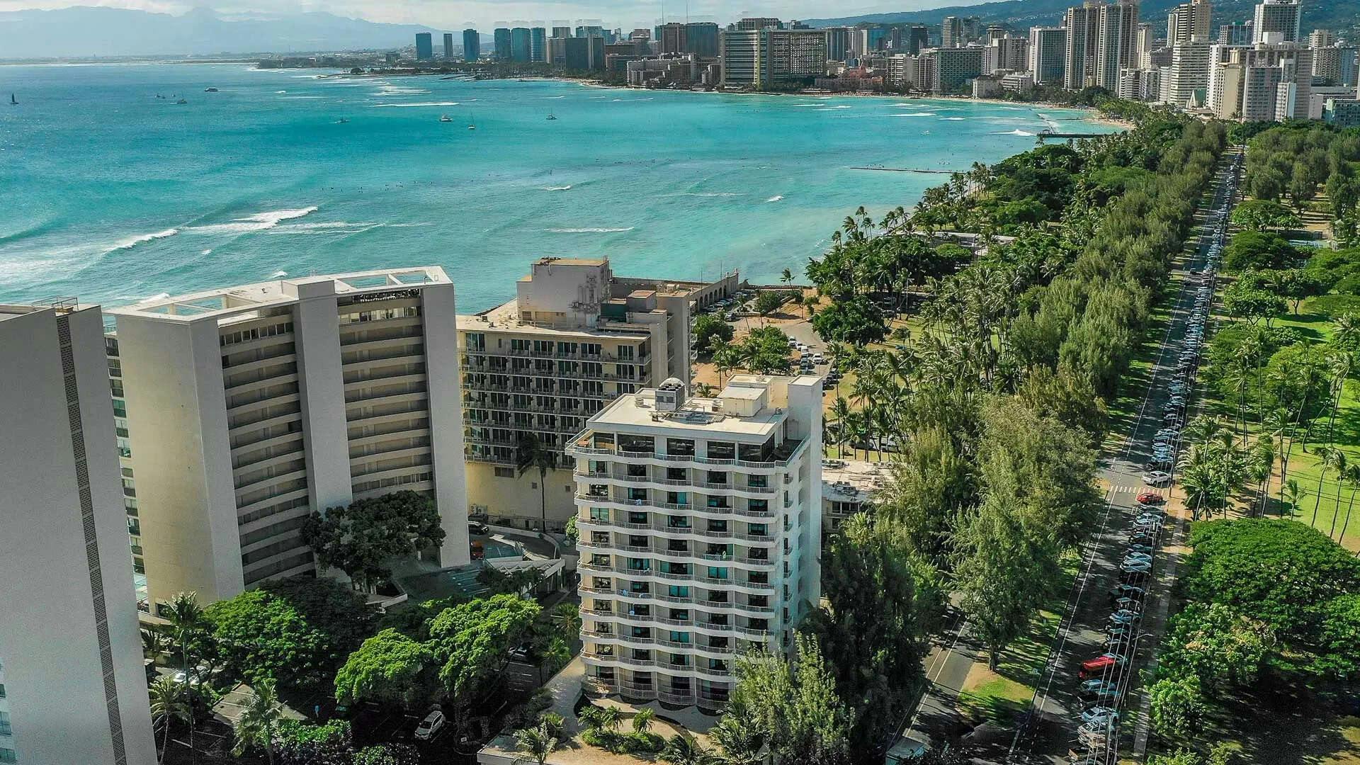Lotus Honolulu at Diamond Head