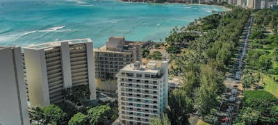 Lotus Honolulu at Diamond Head