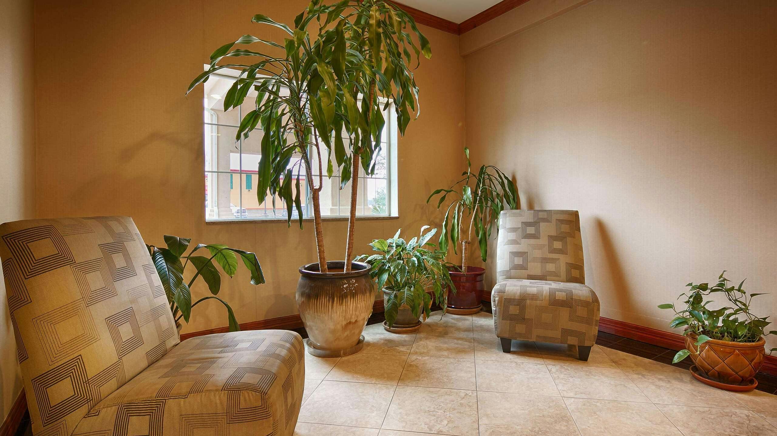 Hotel Best Western Cleveland Inn & Suites photo 5