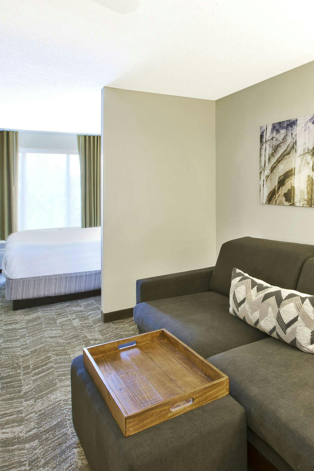 Hotel SpringHill Suites by Marriott Minneapolis-St. Paul Airport/Eagan photo 3