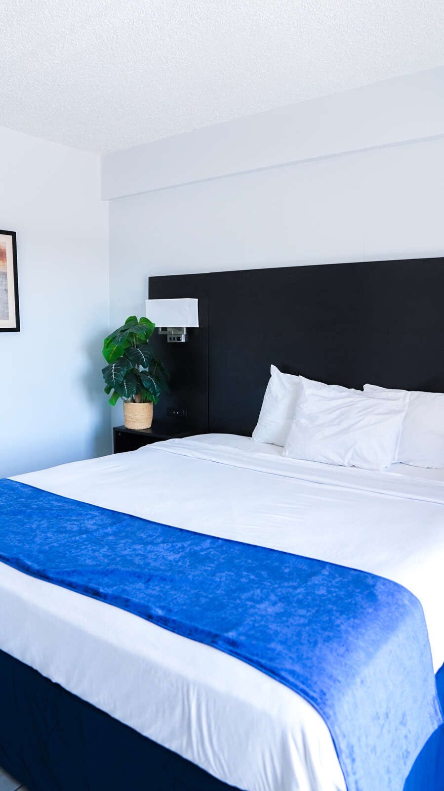 Hotel Sun and Sand Oceanfront Suites photo 1